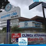 Luminoso-em-Acm-Curitiba-10